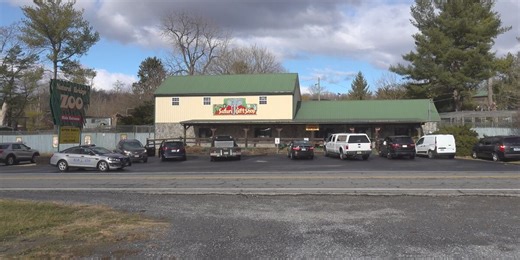 Nearly 100 animals seized from zoo amid animal cruelty investigation, authorities say