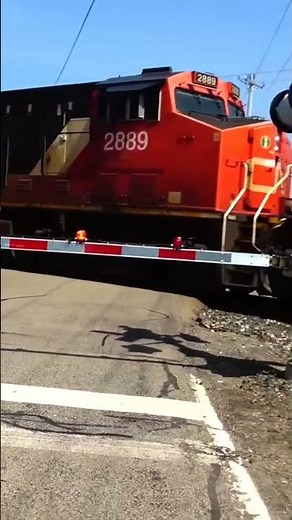 CN engine sandwiched between 4 Norfolk, Southern engines.