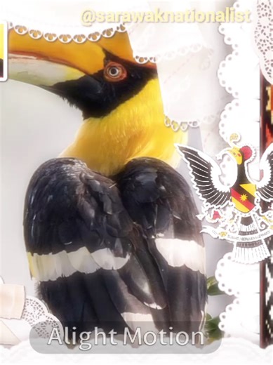 Exploring Sarawak: Culture and Nature