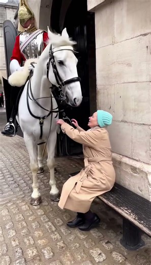 Guard's Horse Breaks Protocol for Kindness #emotional #shorts #respect