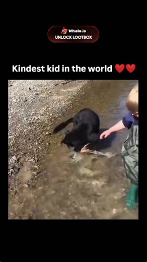 Zahan on Instagram: "The video depicts a toddler in waders catching a small fish in a shallow river, then gently handing it over to an approaching black dog without distress, capturing a moment of unfiltered joy and trust. - Overlaid with "Bro has no enemies" text from a @wealthlifted original, the clip emphasizes innocence over competition, earning 7,300+ likes and 1.8 million views in under two days for its wholesome appeal. - Replies from diverse users celebrate the interaction as a reminder 
