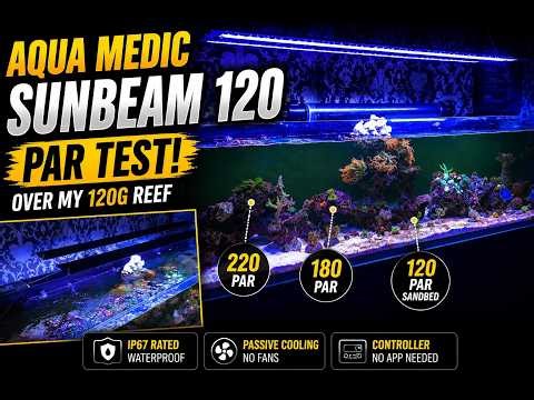 Can Aqua Medic Sunbeam 120 Grow SPS? PAR Test & Reef Tank Setup