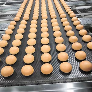 [Hot Item] Hamburger Buns Production Line, Automatic Burger Buns Production Line, Round Bread Production Line