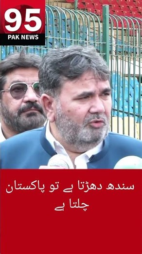 Senate Committee Reviews PCB Infrastructure at National Stadium Karachi | World Cup | 95 PAK NEWS