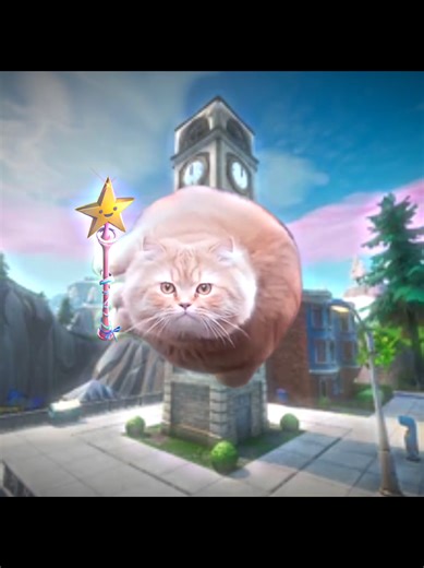 Flying Cat Meme Edit: The Funniest Clips