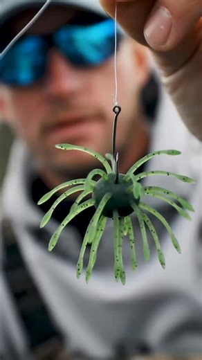 The Uni 😎😳 #yamamotobaits A TPE urchin-style bait, the Uni features bulbed appendages that catch water and shimmy with each twitch of the rod tip, falling with a very lifelike quiver. The custom Yamamoto TPE formula allows for a flexible yet durable bait that delivers the perfect buoyancy and action, while holding up fish after fish. #uni #whatyoufishmatters | Yamamoto Baits