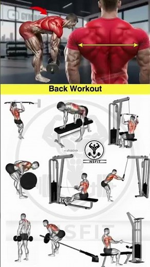 What's The BEST BACK Workout For Beginners?