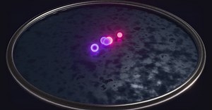 Video by Nicola Narracci on Pexels