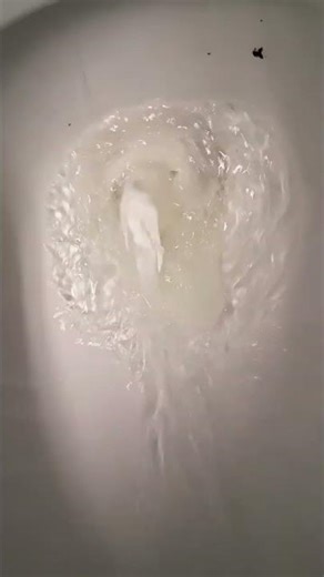 project source dual flush toilet at party