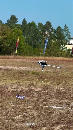 Goosky Fun Fly Moment