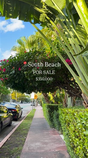 KATHERINE | MIAMI REALTOR on Instagram: "Classic Art-Deco style Spacious condo in the heart of Miami Beach 🏝️FOR SALE: 1/2 💰$350,000 Interested in this charming one bed? 📲Comment INFO or DM me for details & showings #miami #miamirealestate #luxuryapartment #realestate #miamibeachlife"