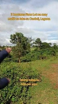 (P# 905) Farm Lot with small lake 3 hectares sa Cavinti, Laguna for sale @ 600/sqm