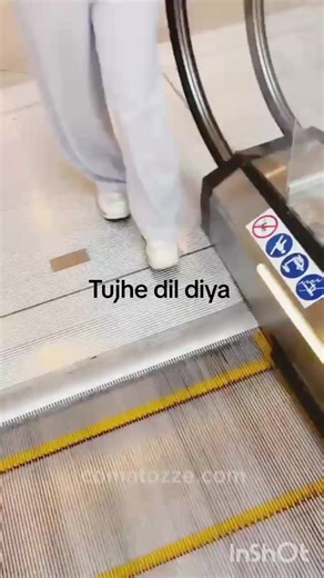 Tujhe Dil Diya: A Romantic Melody