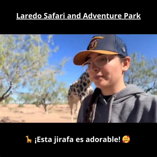 🌿✨ **¡Vive la aventura más salvaje en Laredo Safari and Adventure Park!** 🦒🐫🐍 Explora de cerca el mundo animal, alimenta especies exóticas y disfruta un día lleno de diversión en plena naturaleza. 🌳💚 Perfecto para familias, amigos y amantes de la aventura. 📍 **Ranch Road 7918F, Laredo, TX** 📅 **Abierto todos los fines de semana** 📞 **956-606-7823** #LaredoSafari #WildAdventure #NatureExperience #SafariInTexas #LaredoTX | Laredo Daily News