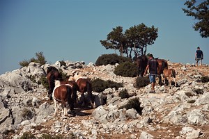A Day Trip to Biokovo, A Beautiful Nature Escape Above Makarska - Total Croatia