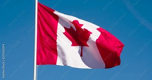 Flag of Canada Fluttering in the Wind. The Big State Flag is illuminated by the sun and flutters epically in the wind against the blue sky. Slow Motion 120 fps