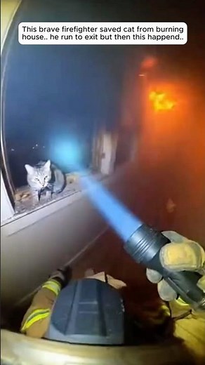 Firefighter Rescues a Cat from a Burning Building