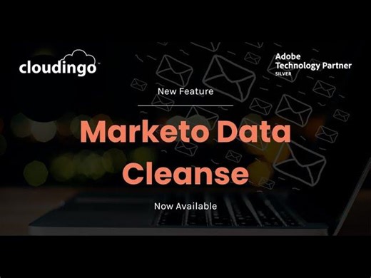 Clean up your Marketo data | Cloudingo