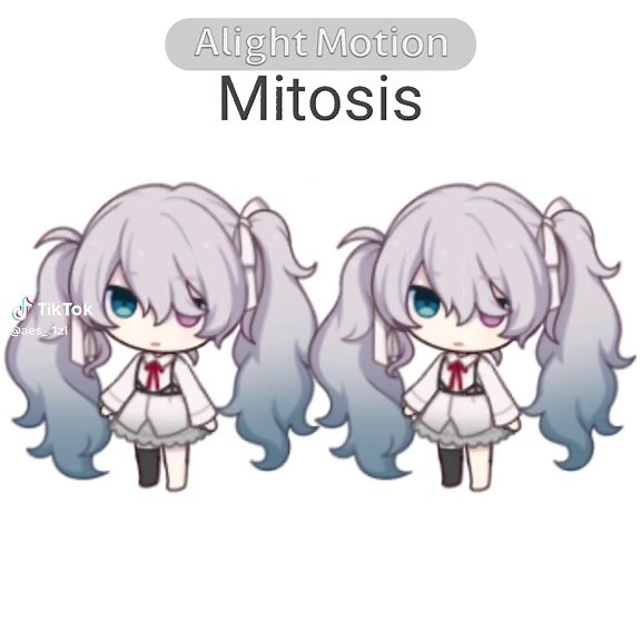 Understanding Mitosis and Meiosis with Miku