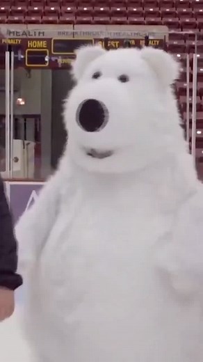 Polar Bear Mascot Slips on Ice - Hilarious Fail Compilation