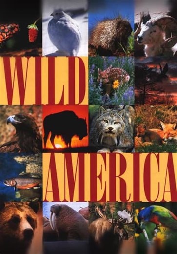 Wild America S07:E706 - Swamp Critters