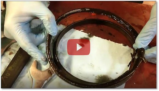 5 Things You Should Know About Floating Face Seals