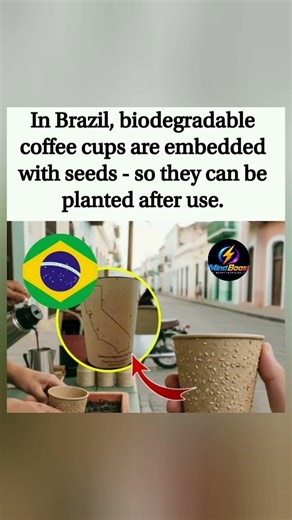 ☕🌱Coffee cup that grows into a tree. so genius. #sustainable #coffeecup #viral #shorts