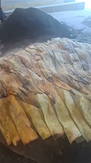 Barbacoa estilo Hidalgo, en Tolantongo