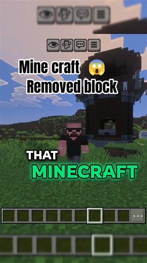 Blocks That Minecraft Removed..😱 #minecraft