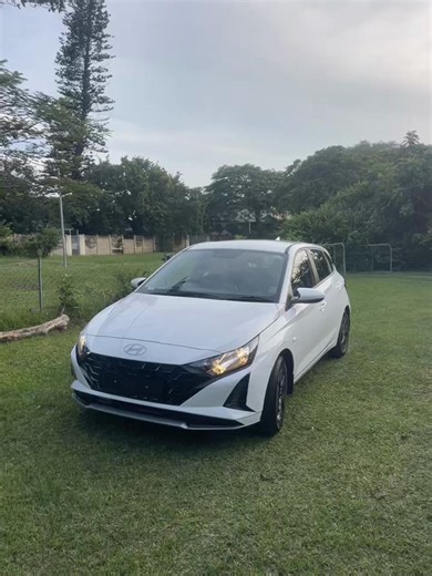 Snow Bunny Vibes: A Winter Experience