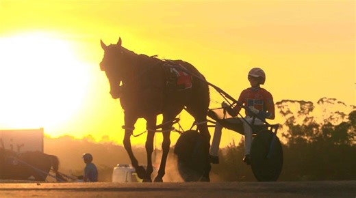 2024 - what a year it was on and off the track! Enjoy this highlight reel of some of the magic moments of the season. | Harness Racing NSW