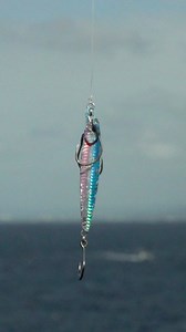 Hooking Mahi-Mahi from a rock Ledge in Japan! #fishing | Ryan Morie Outdoors