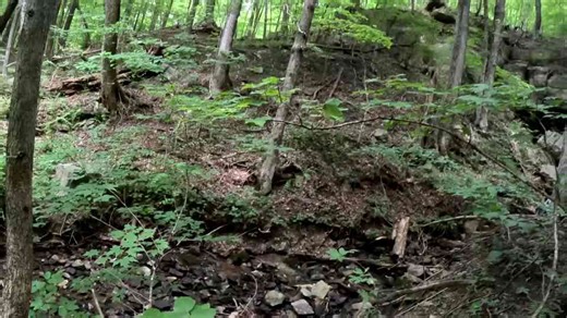 How a Sealed Cave Revealed the Lives of People Lost to Time