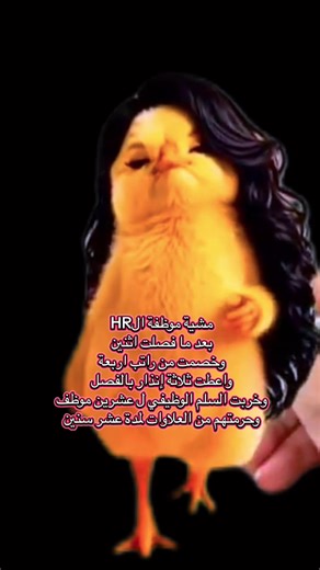 ‏#الاتش_ار #الHR #المديره #الموظفة #بيئة_العمل_السامة | Hr Jobs