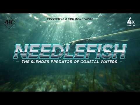 Needlefish: The Slender Predator That Slices Through Coastal Waters #needlefish