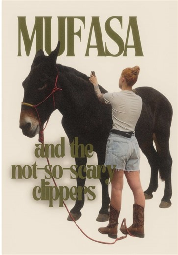 Trimming Mufasa's Mane: A Fun Horse Clipping Experience