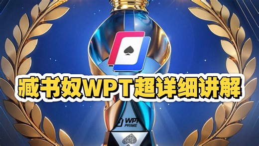 臧书奴的WPT第一视角超详细解说！