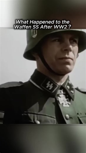 What Happened to the Waffen SS After WW2?