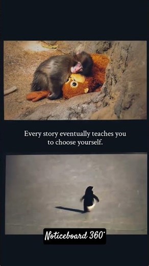 every story eventually teaches you to choose yourselves. ‪@noticeboard360‬