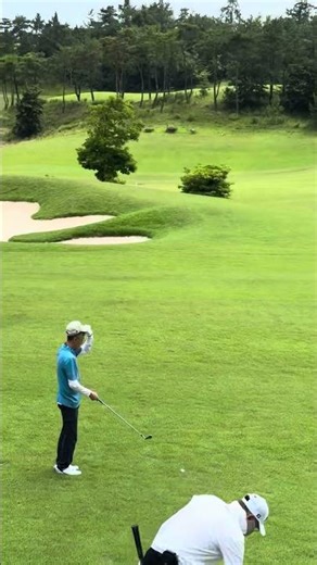 다산베아채