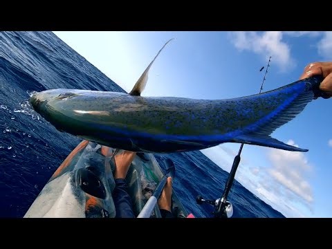 Kayak Fishing Hawaii || catch & cook ||