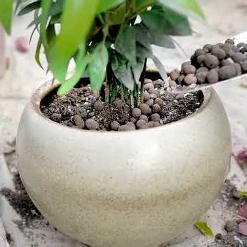 Floral Tools Set in Action | Organize and Enjoy Your Garden Work