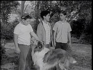 Lassie Episode #102 - "The Harvesters" - Season 3, Ep. 37 - 5/19/1957