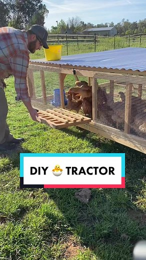 DIY Chicken Tractor: Building a Mobile Solution