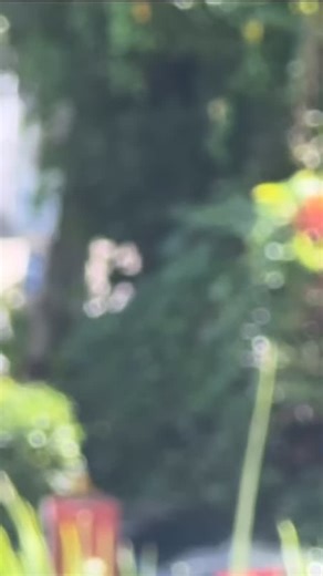 Pour l’anniversaire de l’un de nos collaborateurs, nous avons choisi la talentueuse @fabienne.youyoutte | Pompes Funèbres Marbrerie DOROCANT