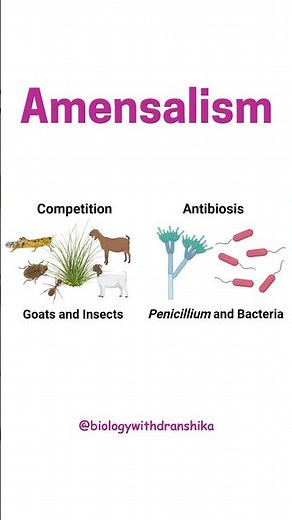 When one is unaffected, but the other struggles—welcome to amensalism! ⚖️🌱🚫
