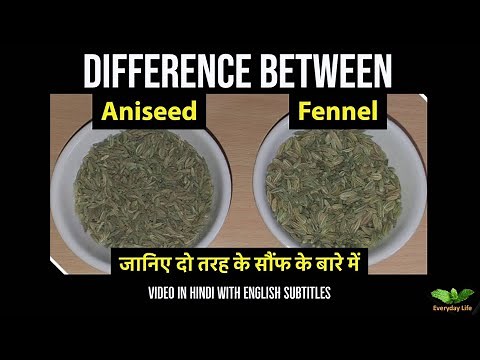 Difference between Aniseed and Fennel | Sauf | दो तरह के सौंफ -पतली और मोटी सौफ | Everyday Life #81