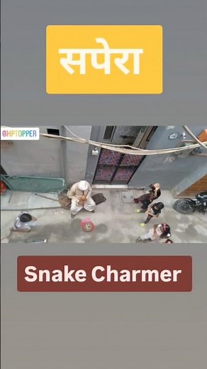 Snake Charmer I सपेरा I 🐍 #snake #snakecharmer
