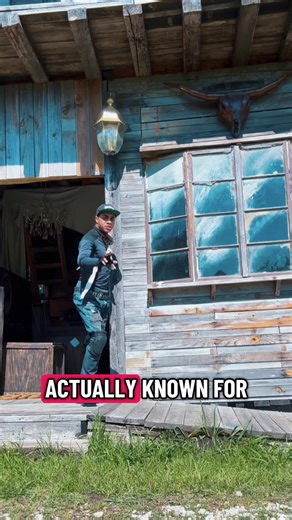 Cowboys stayed strapped #cowboy #western #martialarts #wildwest #history