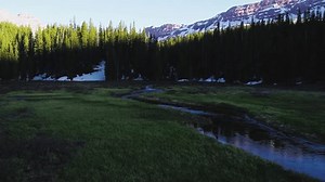 Drone Footage Over Forest Aspen Colorado: vídeo stock (100% livre de direitos) 1107041689 | Shutterstock